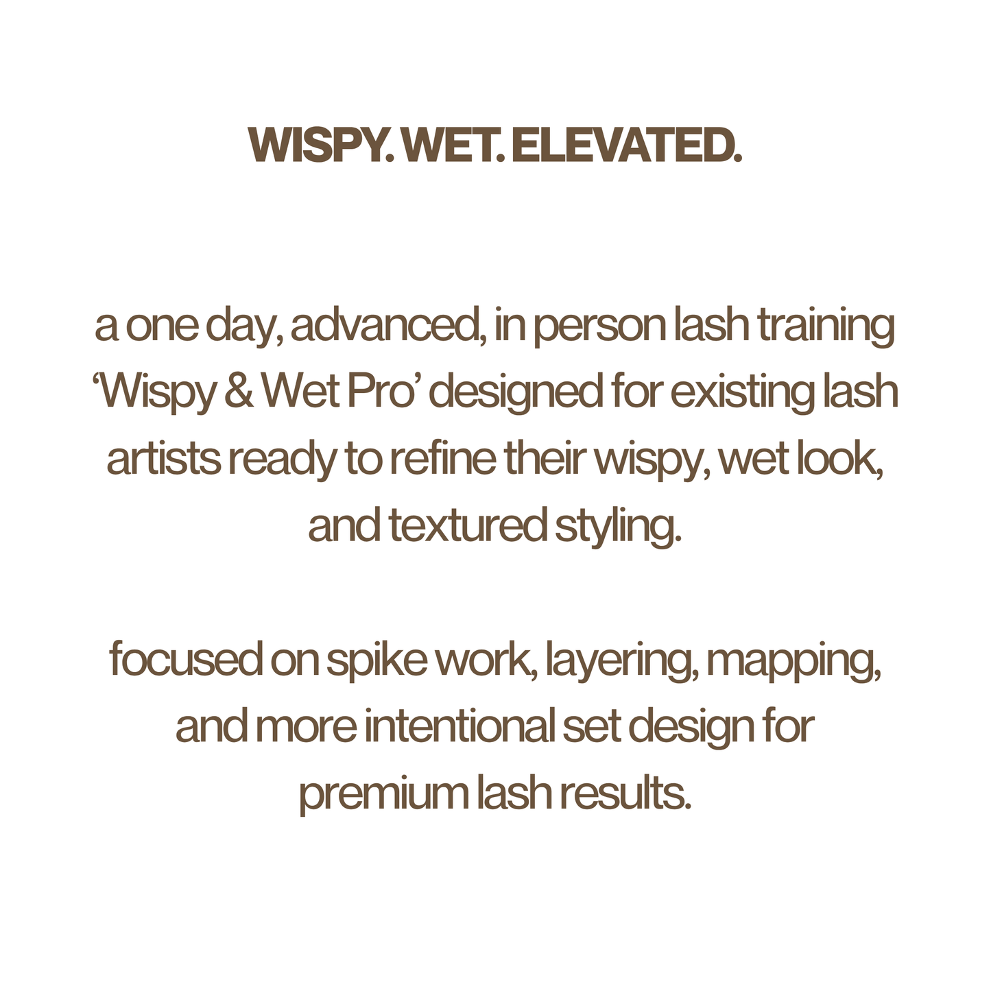 Wispy & Wet Pro ✧ Advanced Lash Training (In Person)